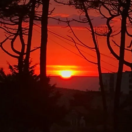 La De La 아파트 *