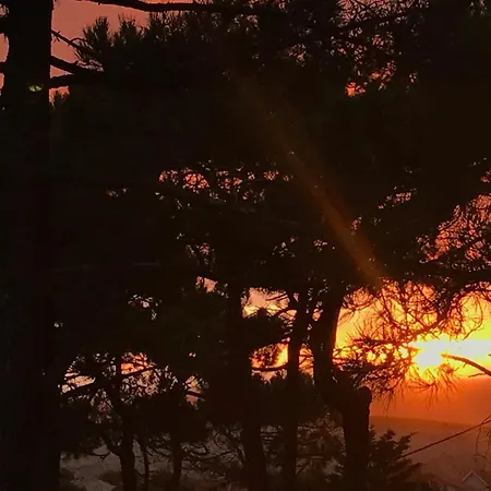 La De La * 라카노오세앙