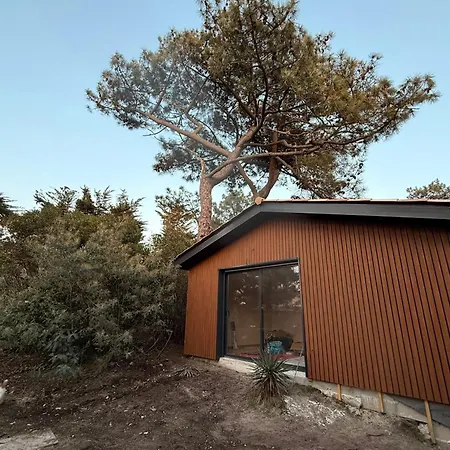 La De La * 라카노오세앙