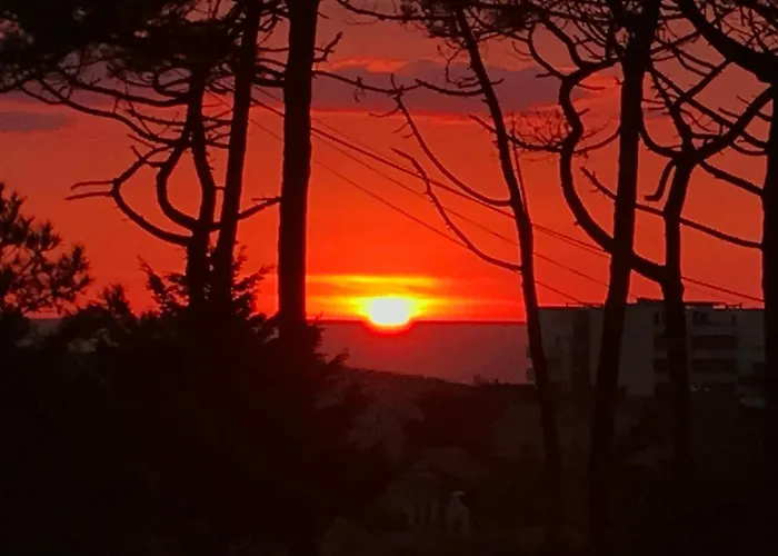 La De La 아파트 *