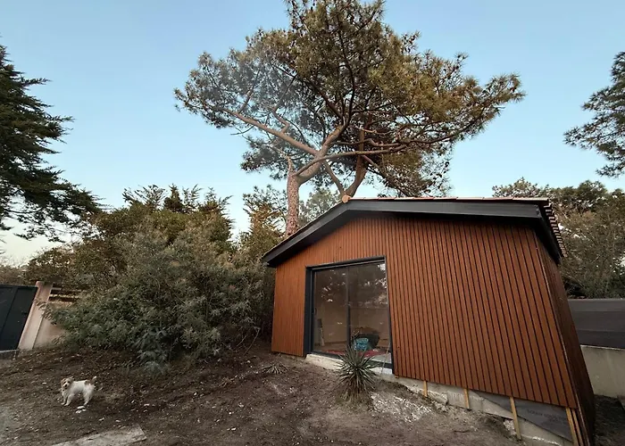 La De La * 라카노오세앙